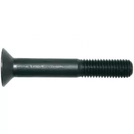Sf. belsőkulcsnyílású csavar DIN 7991 M16x50 10.9 natúr