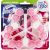 Domestos Power5 Pink Magnolia kosaras wc tisztító rúd 3x55g
